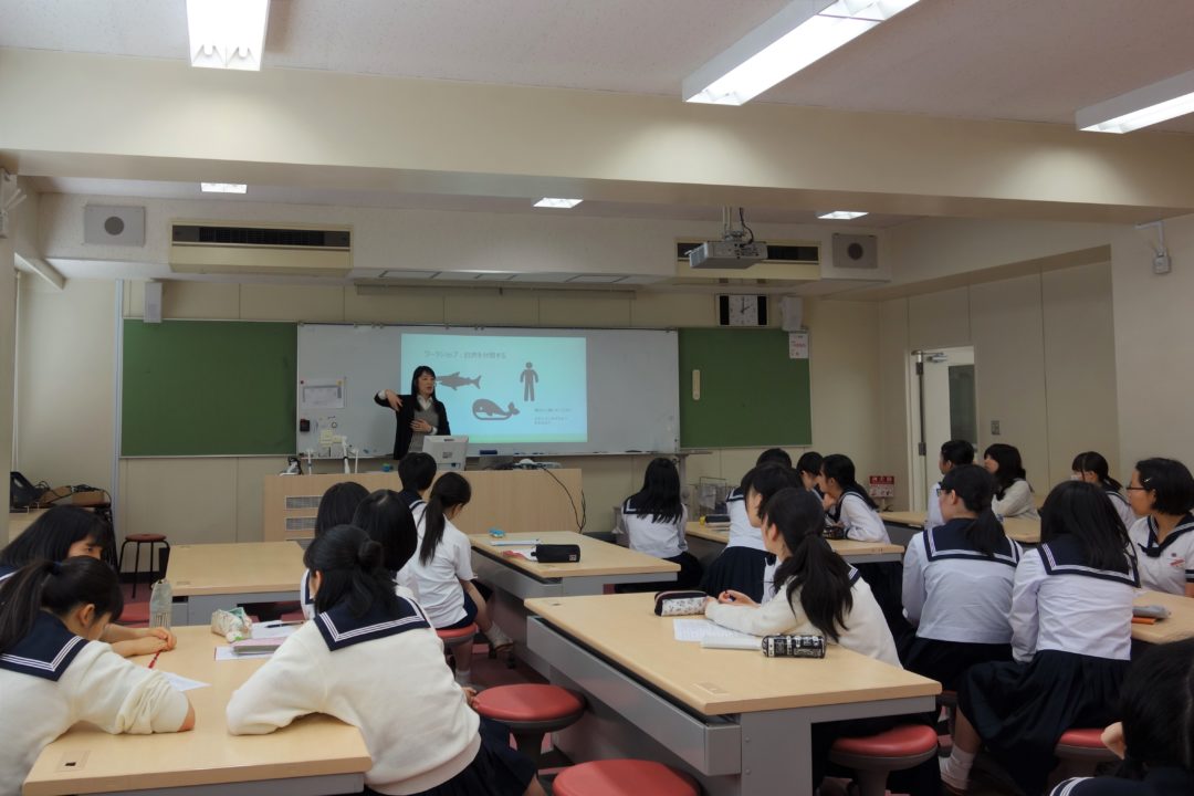 教育学（博物館人類学）<br />三河内彰子 先生　東京大学