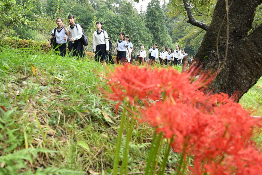 平泉の見学