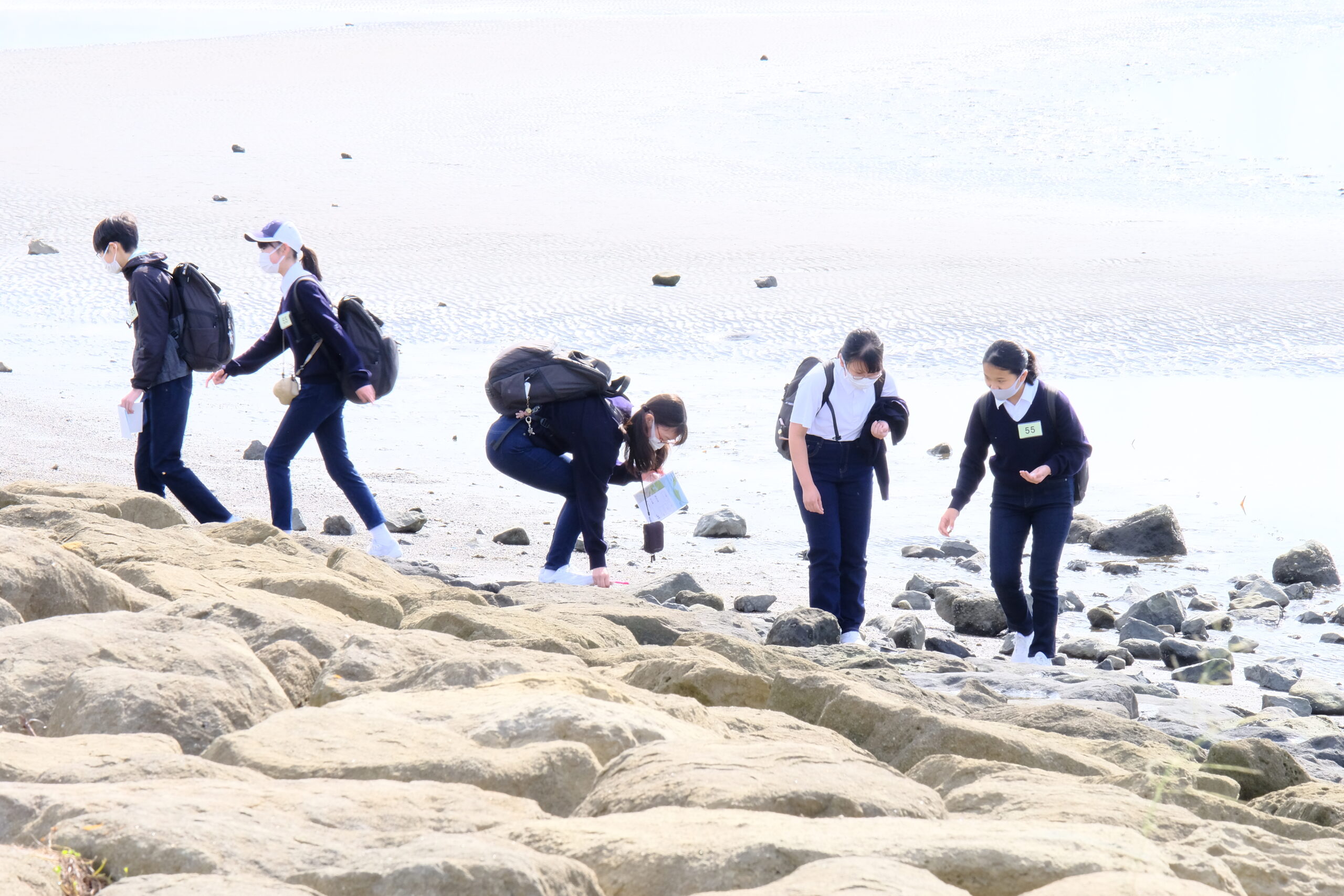 海岸では貝殻や小さな生き物を観察できました。