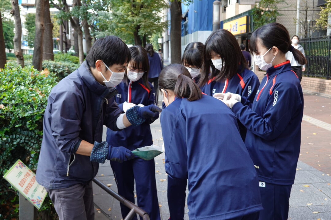 球根について説明