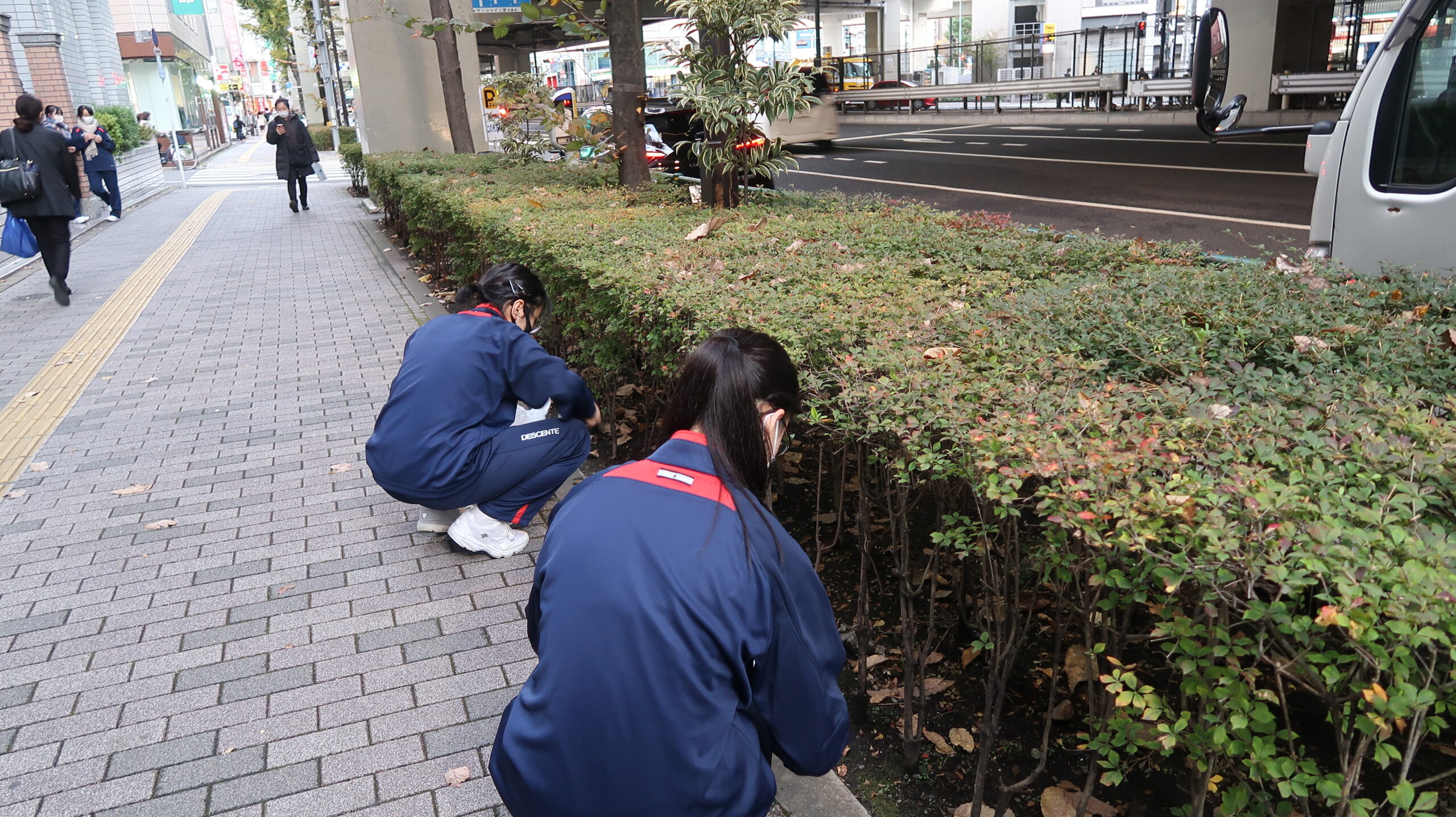 植込みの中にゴミを発見