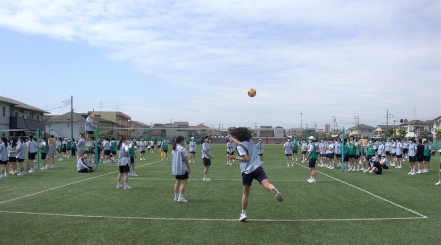 IMG_2825-900x500.jpg