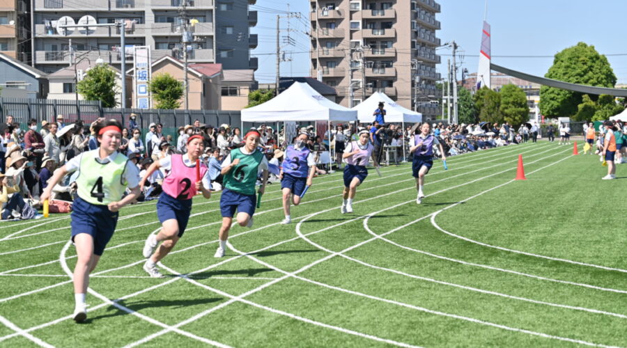 中学1・2年 T-STEAM:Jr. 2022.10.26,11.2 | 豊島岡女子学園