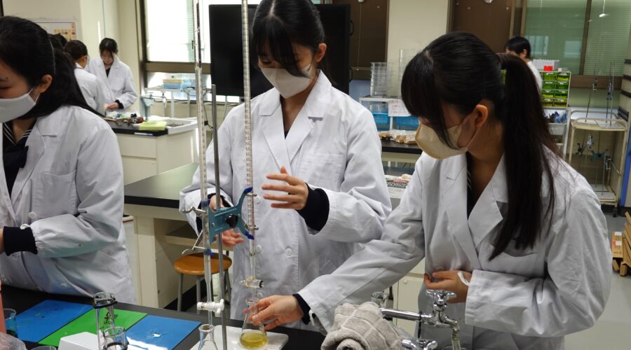 3学期の探究活動 | 豊島岡女子学園 中学校・高等学校