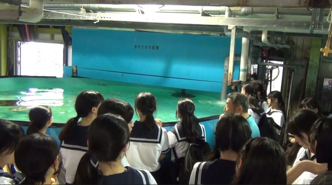 ペンギン水族館バックヤードツアー