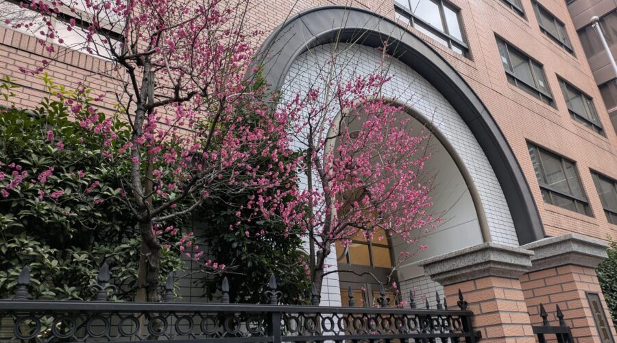 入試関連 | 豊島岡女子学園 中学校・高等学校